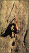 escalade jeunes